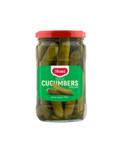 خیارشور ممتاز شانی
