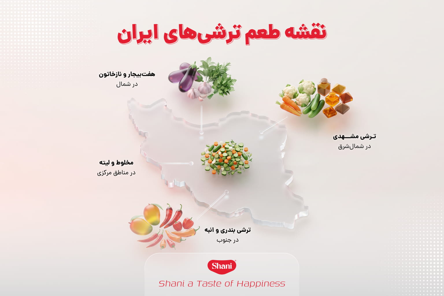 ترشی مناطق مختلف ایران