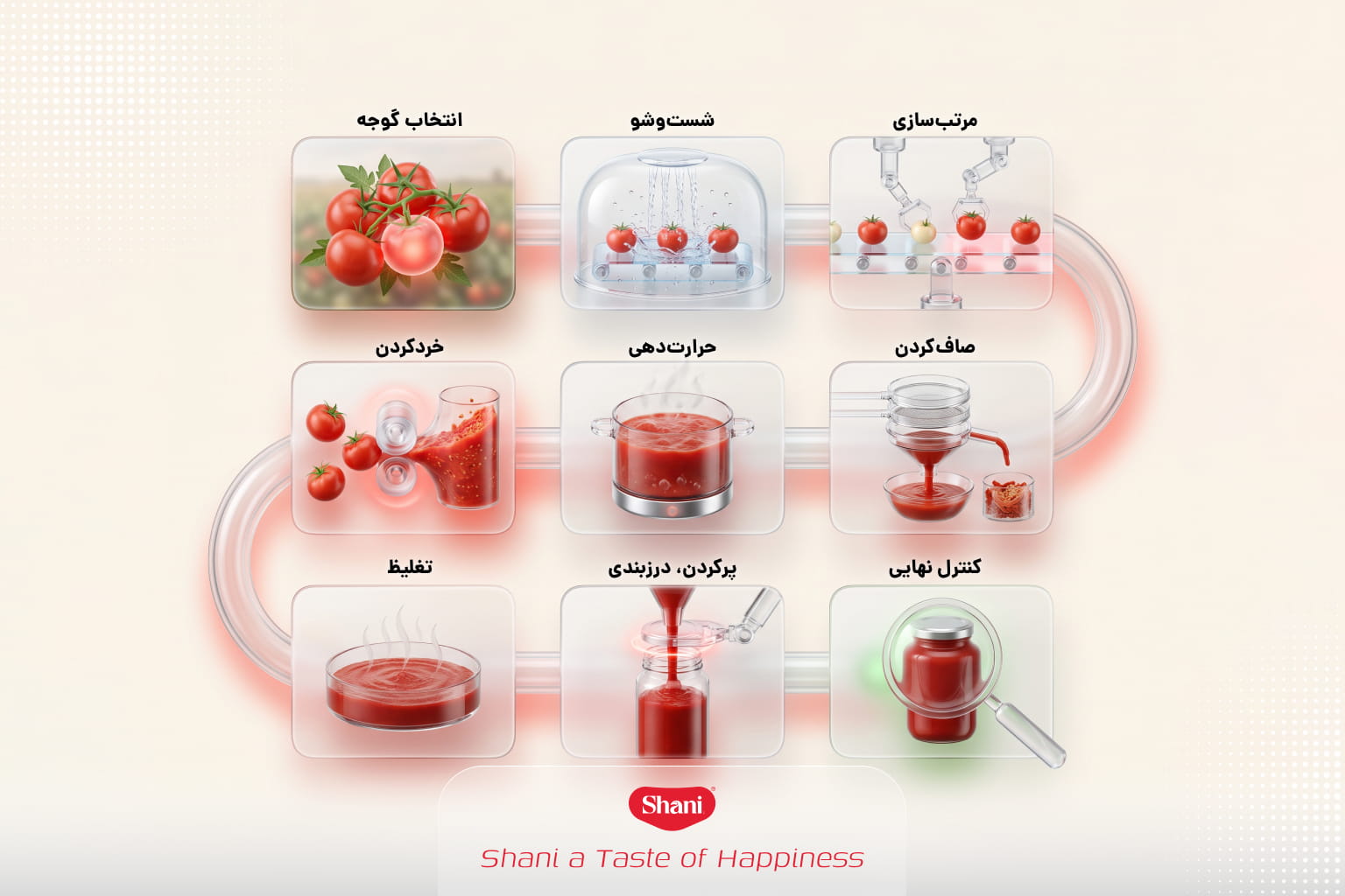 مراحل تهیه رب گوجه فرنگی به صورت صنعتی