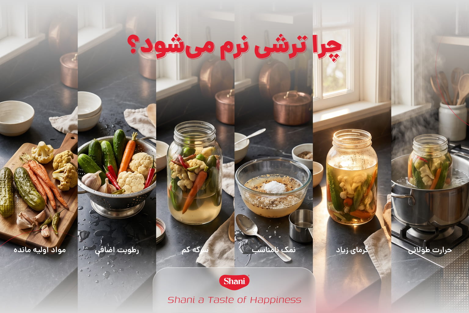 دلایل نرم شدن ترشی