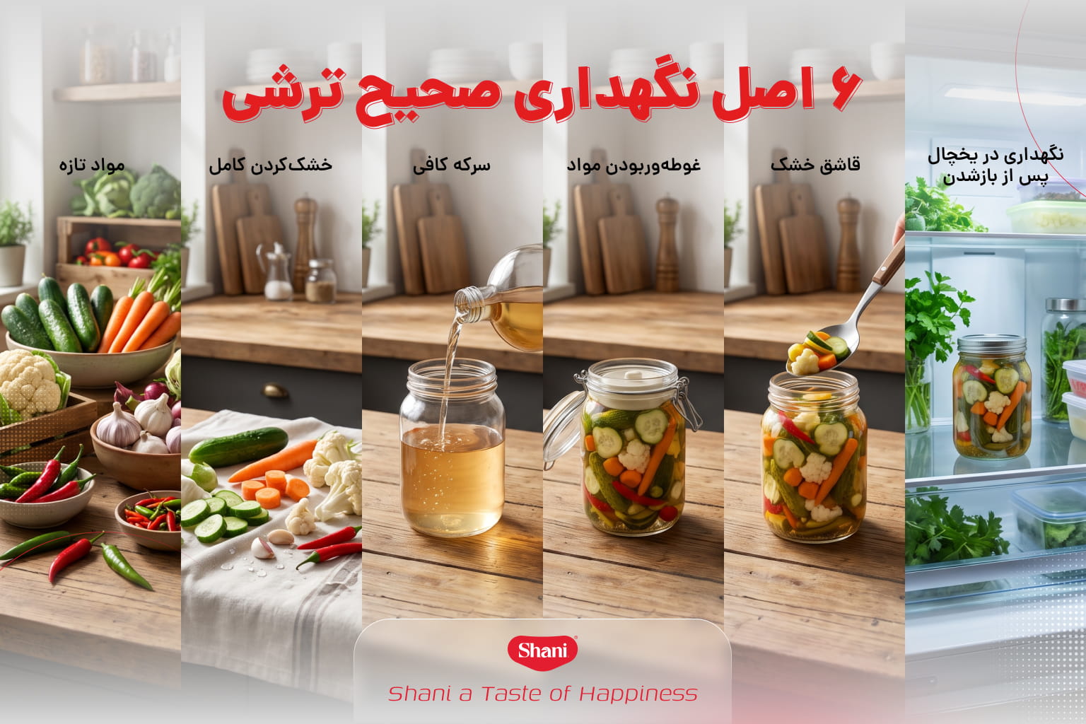 روش نگهداری از ترشی